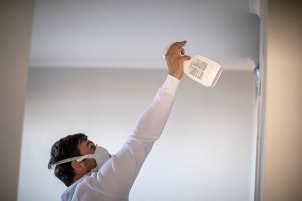 Best Affordable Mold Removal  in Burnt Store Marina, FL