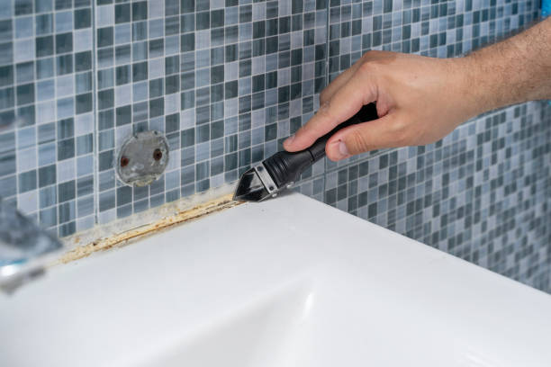 Best Mold Remediation  in Burnt Store Marina, FL